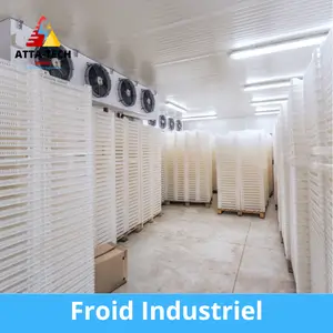 Froid Industriel